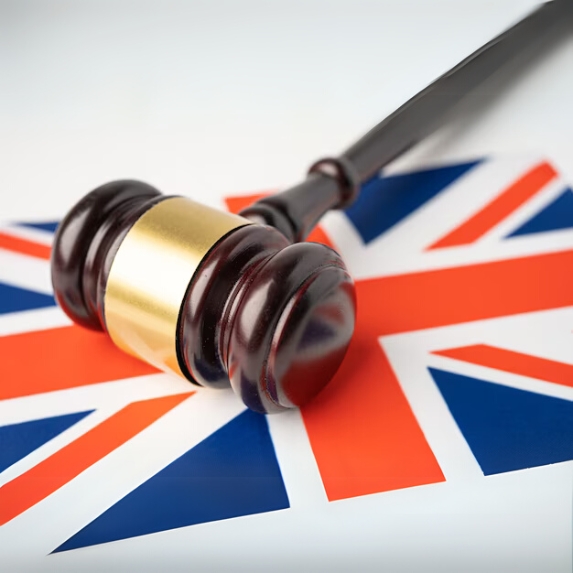 UK Govt Norms